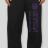 University of Bridgeport Sweatpants Full Leg - Image 2