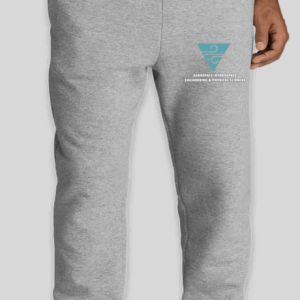 Fairchild Wheeler Aero Jogger